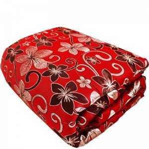 Couvre Lit 2Places Avec 2Taie D’oreiller et 2Coussins Rouge - Vente...