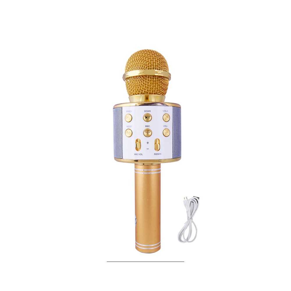 Microphone karaoké Bluetooth - Microphone sans fil - Avec haut