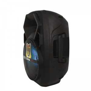 Haut Parleur Rechargeable Radio Bluetooth Avec Micro Et Télécommand...