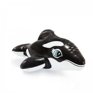 Baleine Noir INTEX 58590NP T19-11BN - Vente en Ligne sur Last Price...