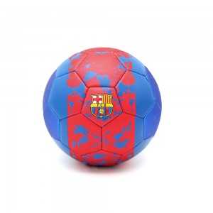 Ballons de football F.C Barcelone