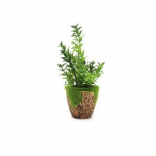 Mini plante artificielle verte dans un pot rond en plastique