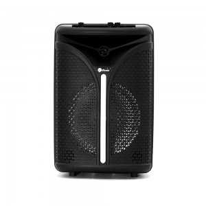Haut Parleur Rechargeable Radio Bluetooth Avec Micro Et Télécommande WF-806