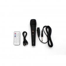 Haut Parleur Rechargeable Radio Bluetooth avec Micro et Télécommande