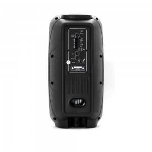 Haut Parleur Rechargeable Radio Bluetooth avec Micro et Télécommande
