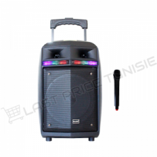 Enceinte Bluetooth Avec Roulette et Microphone KINGWE E8