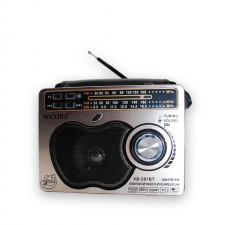 Radio FM Rechargeable WAXIBA Silver