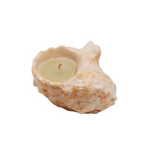 Bougie parfumée en céramique coquillage