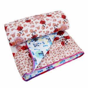 Couette 2 Places Double Face Imprimé Pomme Beige Bleu - Vente en Li...