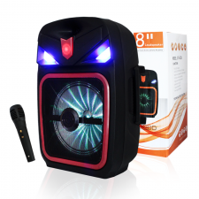 Haut Parleur Rechargeable Radio Bluetooth Avec Micro Et Télécommande PartyFun GT-8256A