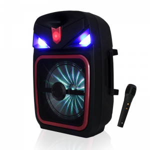 Haut Parleur Rechargeable Radio Bluetooth Avec Micro Et Télécommand...