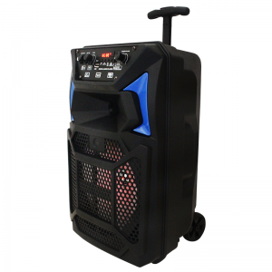 Haut Parleur Rechargeable Radio Bluetooth Avec Micro Et Télécommand...