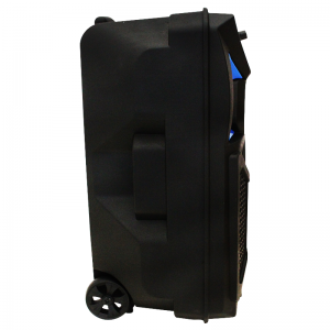 Haut Parleur Rechargeable Radio Bluetooth Avec Micro Et Télécommand...