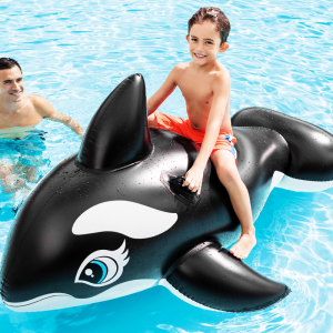 Grande Baleine de Natation Gonflable INTEX 58561NP T19-37 - Vente e...