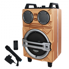 Haut Parleur Radio Bluetooth Avec Micro et Télécommande EARISE ER10 Gold
