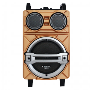 Haut Parleur Radio Bluetooth Avec Micro et Télécommande EARISE ER10...