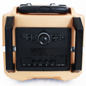 Haut Parleur Radio Bluetooth Avec Micro et Télécommande EARISE ER10...