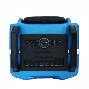 Haut Parleur Radio Bluetooth Avec Micro et Télécommande EARISE ER10...