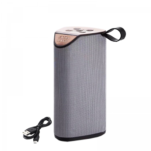 Haut Parleur Rechargeable Radio Bluetooth EXTRA BASS GT-111 Gris - ...
