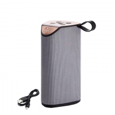 Haut Parleur Rechargeable Radio Bluetooth EXTRA BASS GT-111 Gris