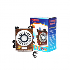 Radio FM MP3 Rechargeable POWTECH PT-908M132 Marron
